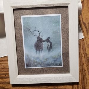 A Captivating Elk Picture